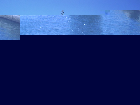 %E6%8E%83%E6%B5%B7%E8%89%87%EF%BC%83%EF%BC%91%EF%BD%93.jpg